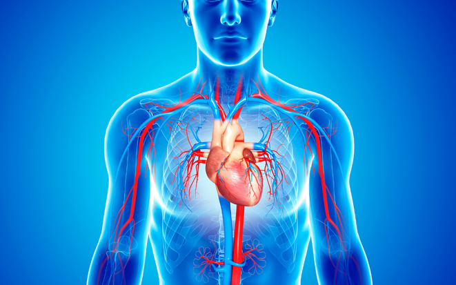 Zmiany w Narodowym Programie Chorób Układu Krążenia    